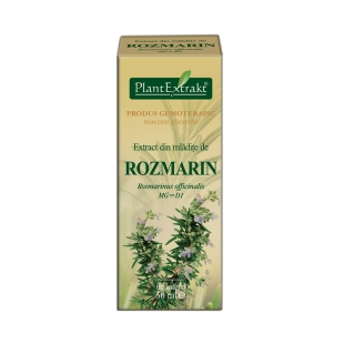 Plantextrakt extract din mladite de rozmarin 50ml