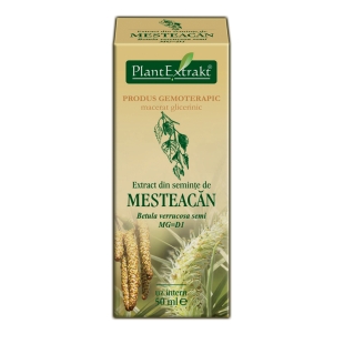 Plantextrakt extract din seminte de mesteacan 50ml